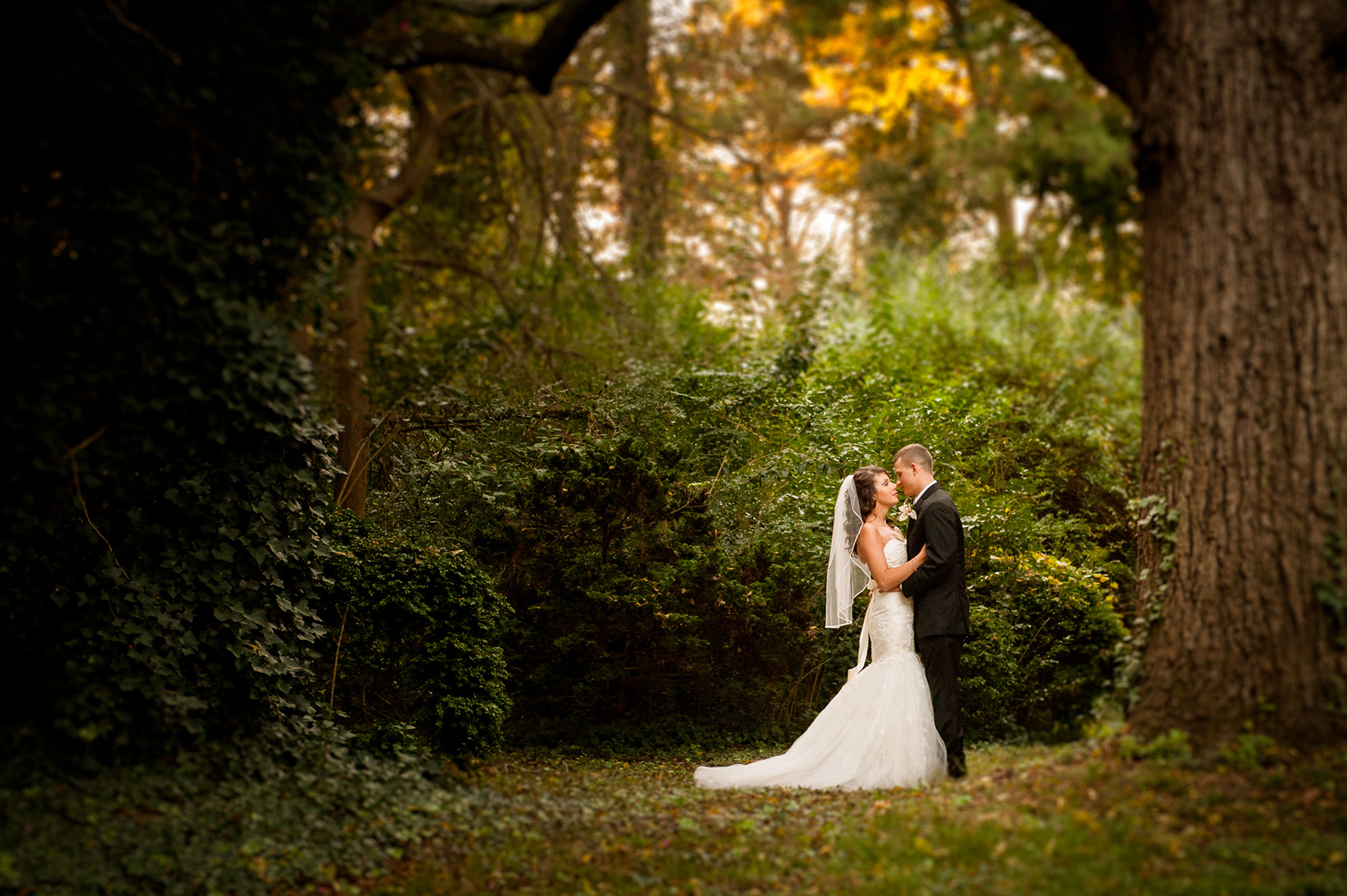 bride groom under tree wedding romance
