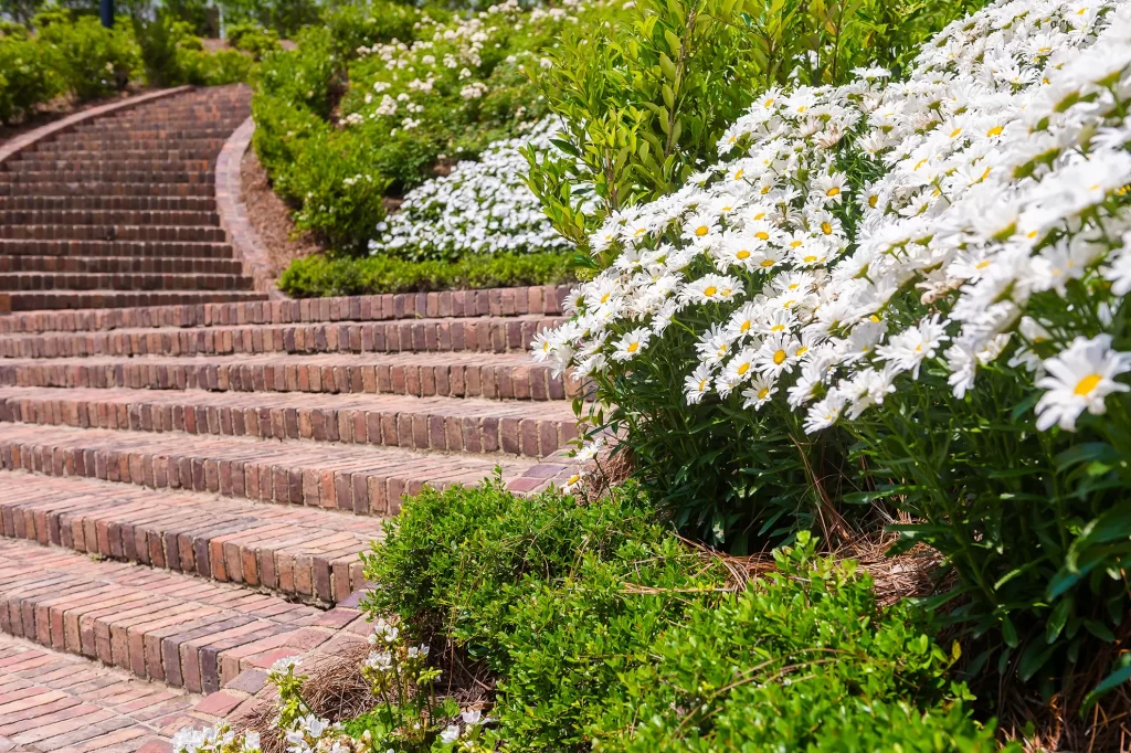 Cavalier Hotel garden area