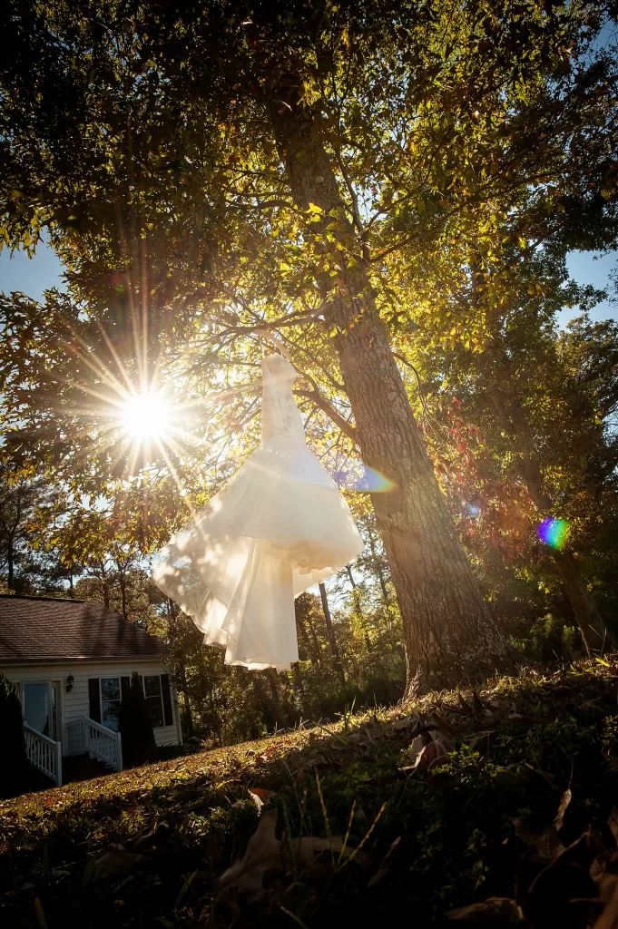 Wedding dress hanging in a tree with sunlight starburst f/22