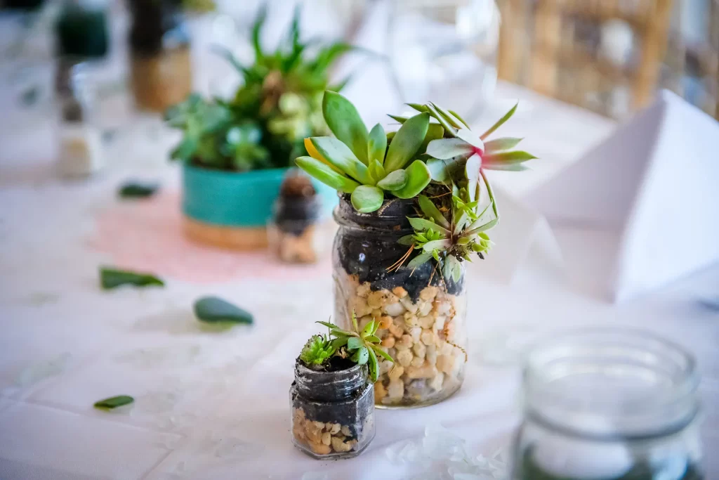 Wedding details of succulent plant favors
