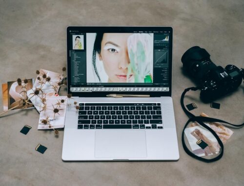 Image Editing Style Comparison